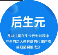 后生元