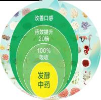 发酵中药