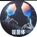 噬菌体