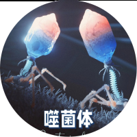 噬菌体